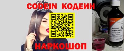 молекула духа Партизанск