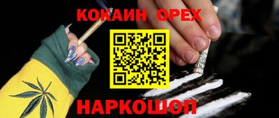молекула духа Партизанск