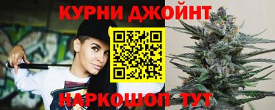 молекула духа Партизанск