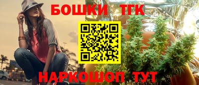 молекула духа Партизанск