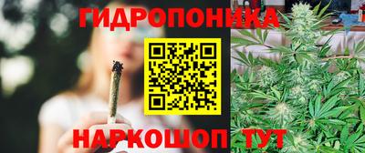 молекула духа Партизанск