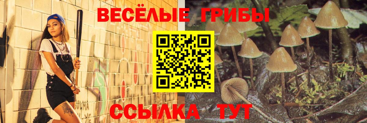Пыть-Ях  Псилоцибиновые грибы Psilocybine cubensis  Вход с VPN 
